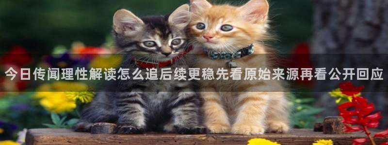 网络热点热点汇总