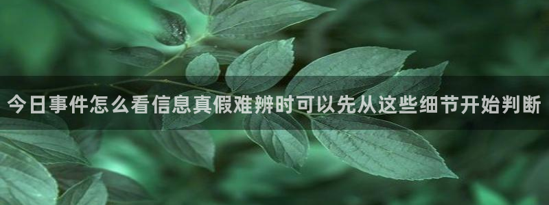 独家吃瓜后续进展