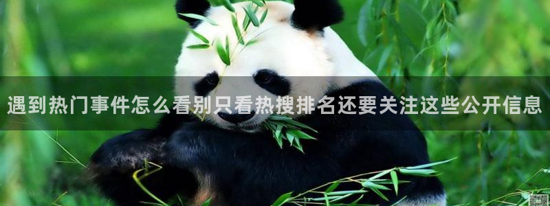 吃瓜新闻后续进展