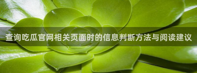 吃瓜爆料来源梳理