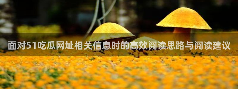 吃瓜新闻信息核验