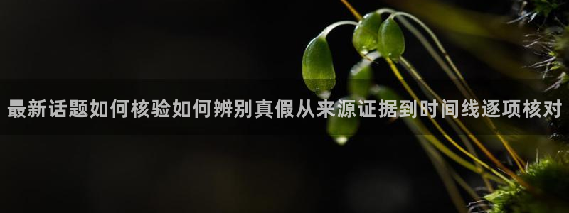 网红吃瓜后续进展